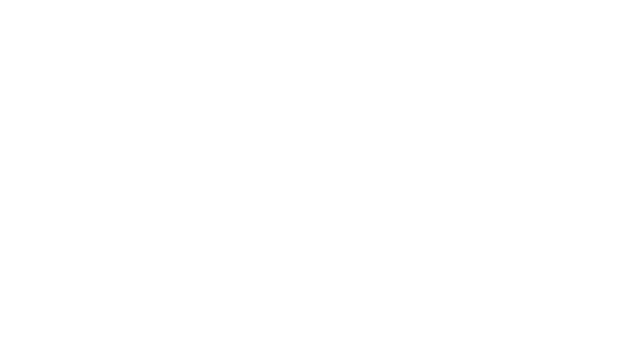 dls-logo